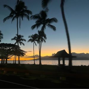 Meet your Posher, Annabelle